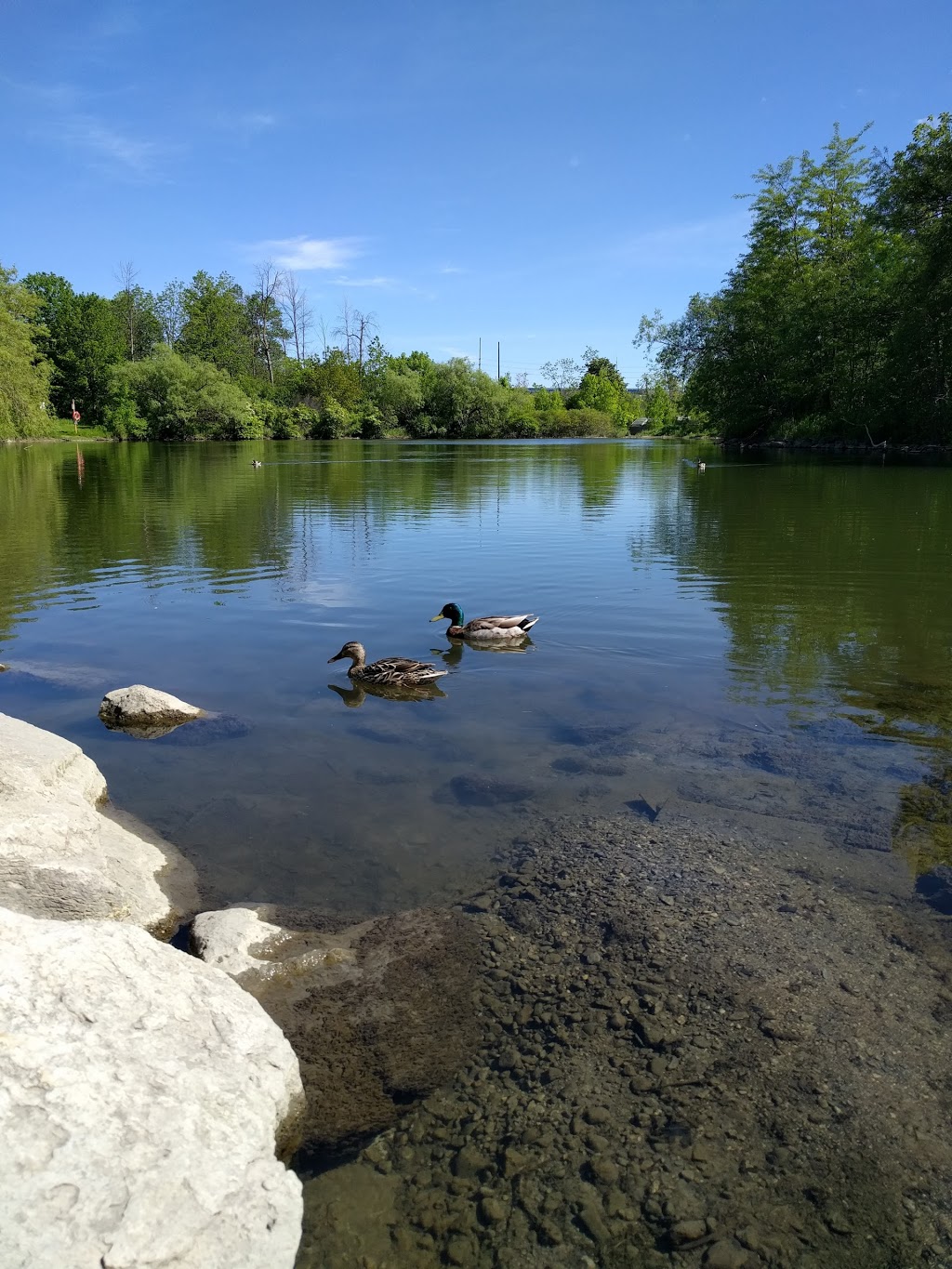 Routley Park | 65 Dicarlo Dr, Vaughan, ON L6A, Canada