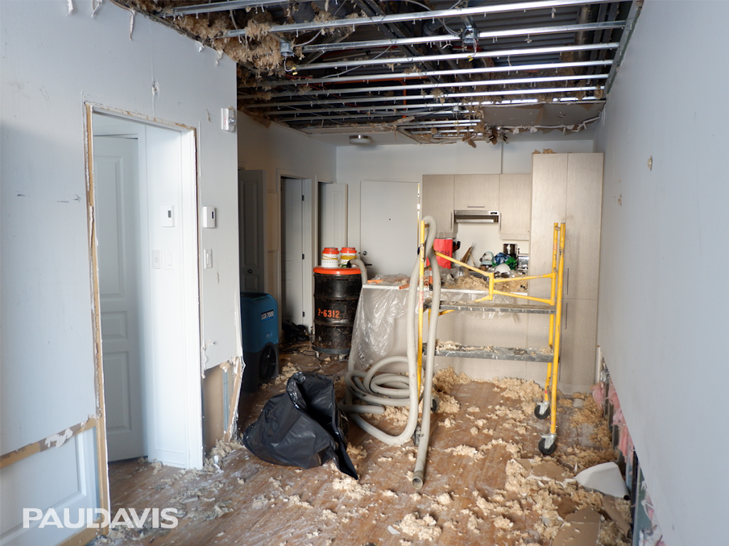 Paul Davis Halifax | 76 Thorne Ave, Dartmouth, NS B3B 1Y5, Canada | Phone: (902) 481-0874