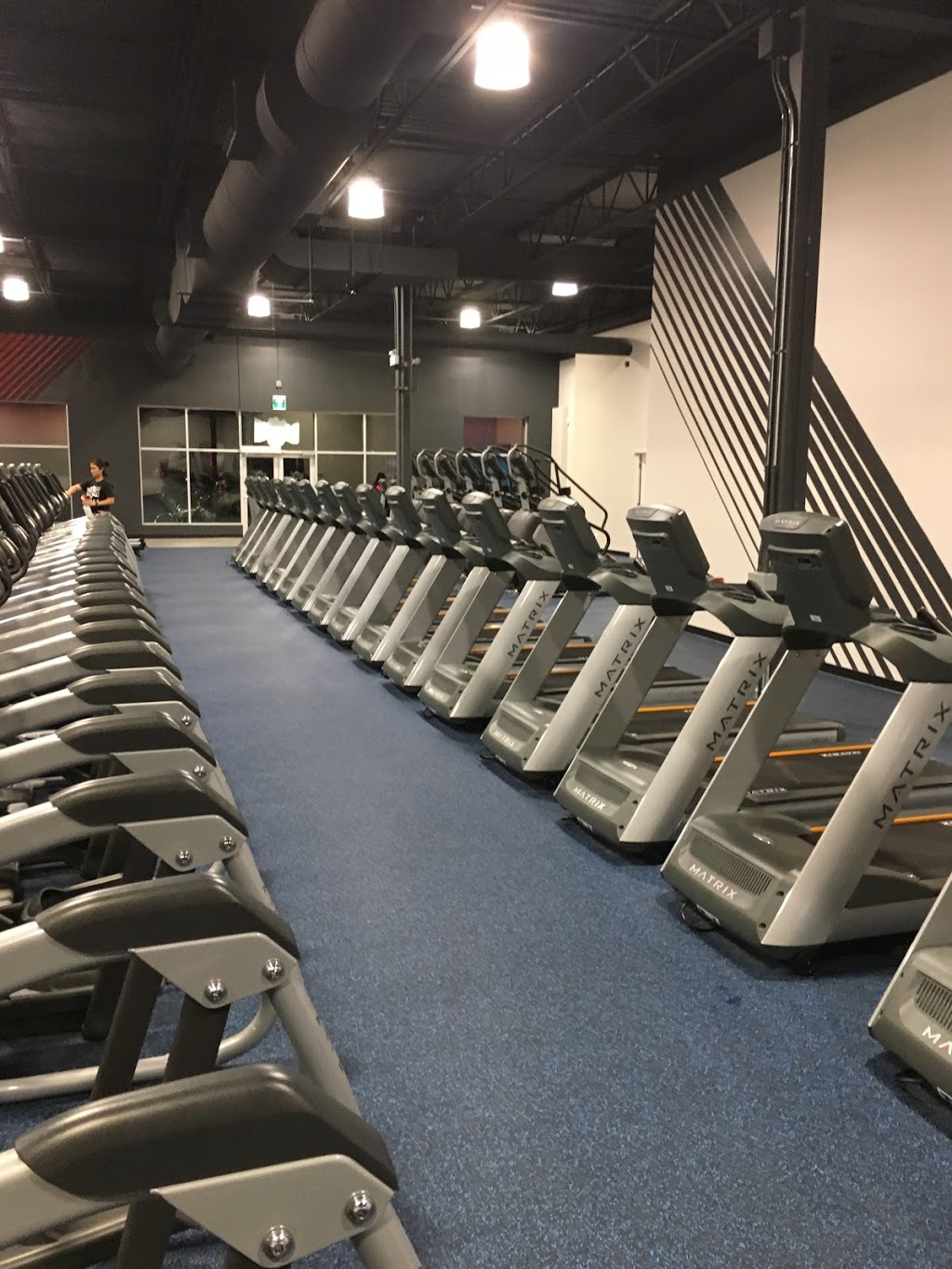 Crunch Fitness - Waterdown | 50 Horseshoe Crescent, Waterdown, ON L8B 0Y2, Canada | Phone: (905) 689-9050