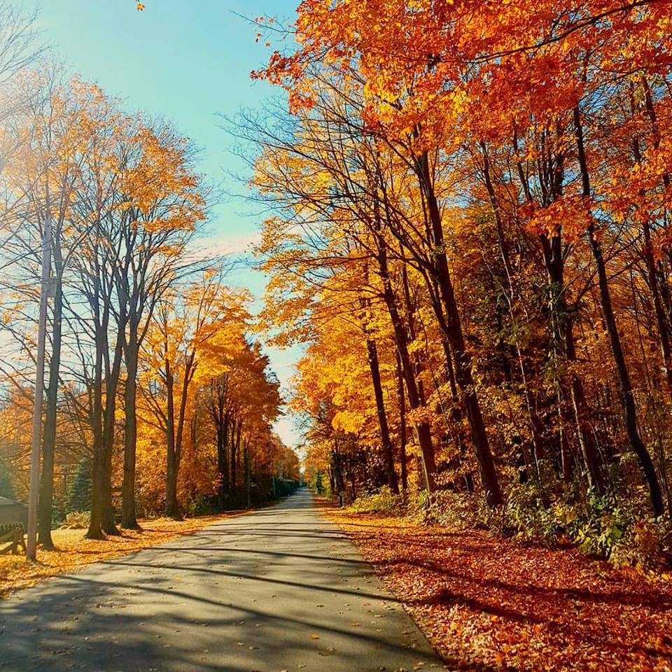 Bayfield Berry Farm | 77697 Orchard Line, Bayfield, ON N0M 1G0, Canada | Phone: (519) 482-1666