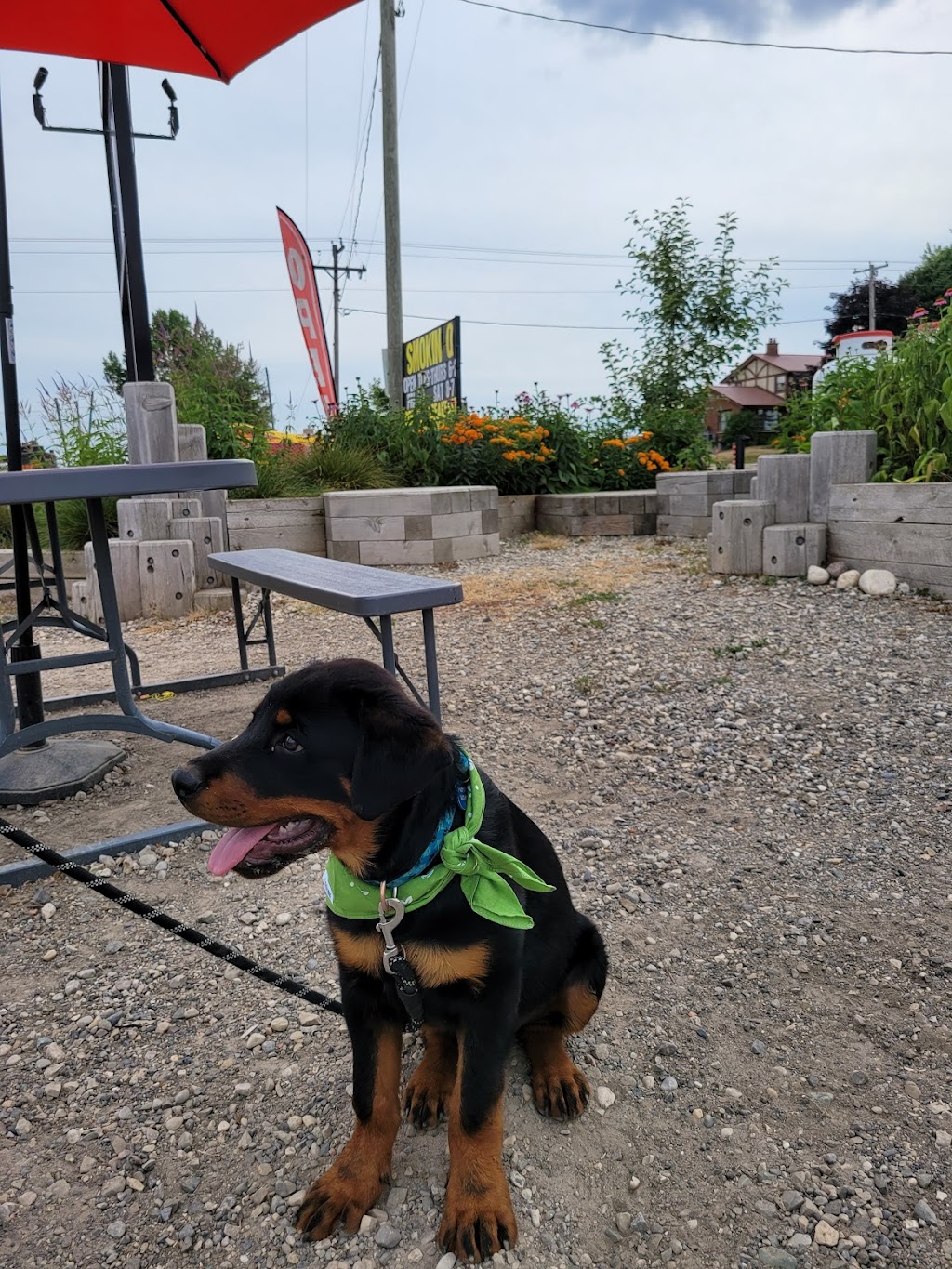 SmokinQ Wallenstein | 7215 Wellington Rd 86, Wallenstein, ON N0B 2S0, Canada | Phone: (519) 504-3002