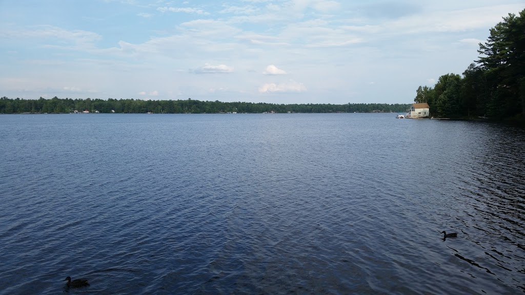 Lone Pine Inn | 581 Phillip St E, Gravenhurst, ON P1P 1M3, Canada | Phone: (705) 681-1188