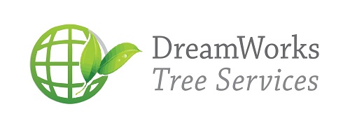 DreamWorks Tree Service | 8799 Concession Rd 5, Uxbridge, ON L9P 1R1, Canada | Phone: (647) 261-2627