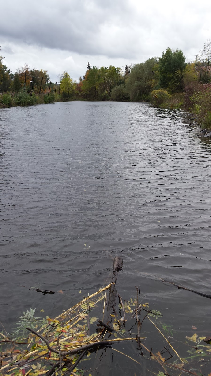 Campbellville Conservation Area | 46 McLaren Rd, Milton, ON L0P, Canada