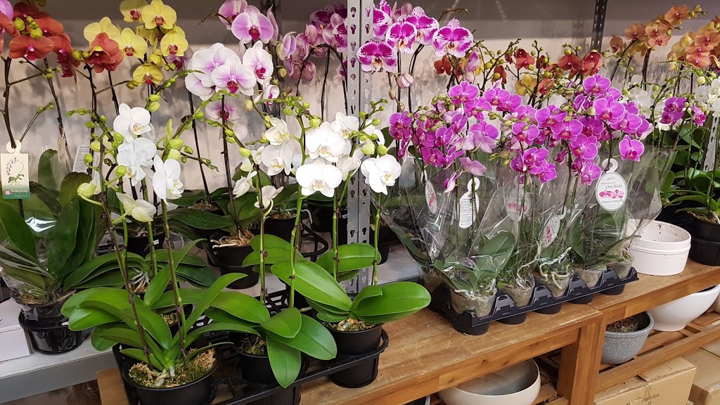 Southland Farm Market | 3008 W 41st Ave, Vancouver, BC V6N 3C9, Canada | Phone: (604) 264-0112
