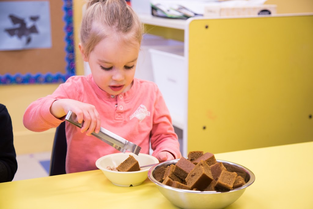 Kids & Company | 15425 Bannister Rd SE, Calgary, AB T2X 3E9, Canada | Phone: (403) 294-9429