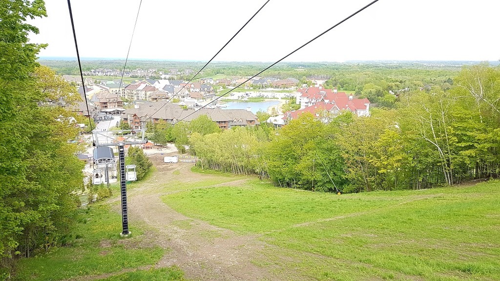 Blue Mountain | 796562 Grey County Rd 19, The Blue Mountains, ON L9Y 0S5, Canada | Phone: (877) 445-0231