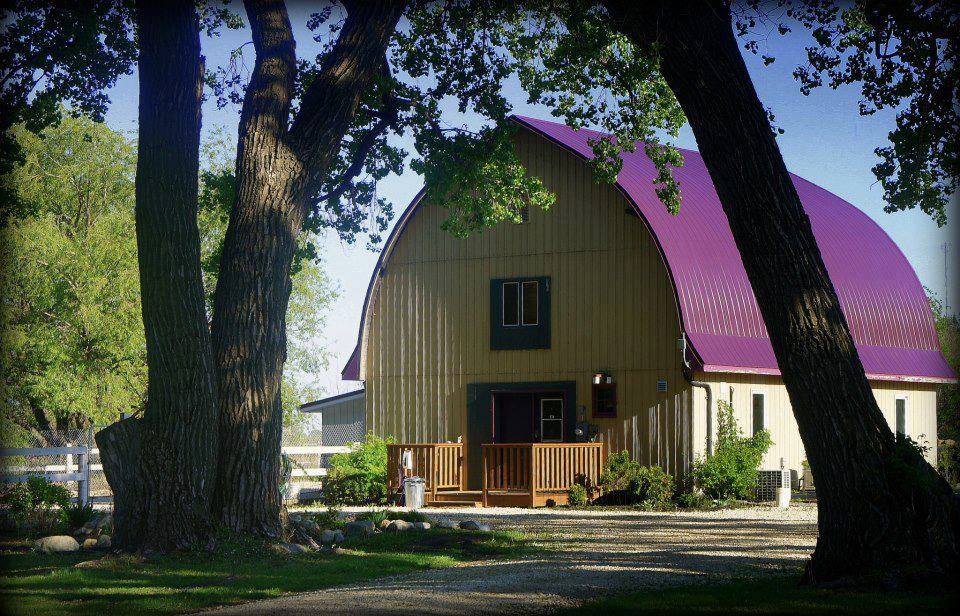 McBarn Kennels | 11135 Rd 25W, Morden, MB R6M 1A3, Canada | Phone: (204) 325-9011