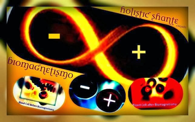 Biomagnetismo.reiki "Holistic Shante" | 3236 Strabane Dr, Mississauga, ON L5C 1W7, Canada | Phone: (905) 566-5569