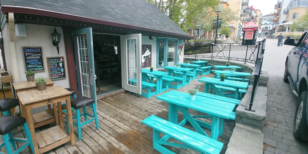 FINNEGANNS Workshop | 45 Route de Crystal Falls, Arundel, QC J0T 1A0, Canada | Phone: (819) 341-9663