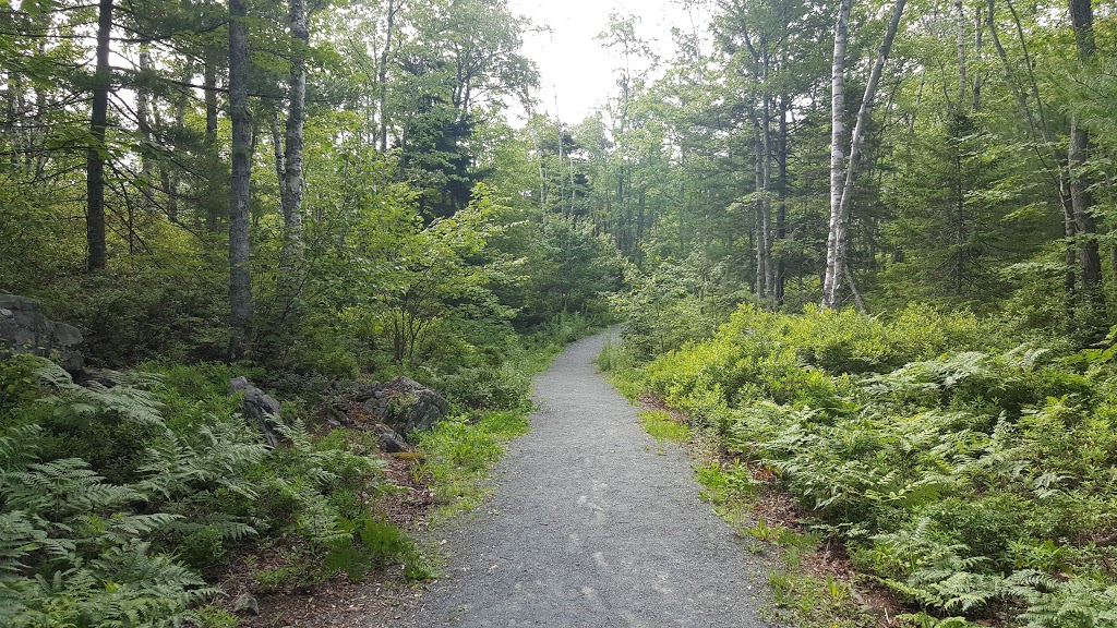 Kearney Lake Plaza | Bedford, NS B4A 4H9, Canada | Phone: (902) 832-6666