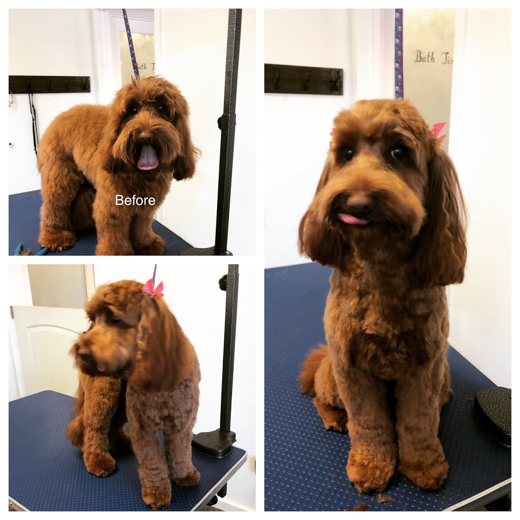 Skinny Dippers Pet Salon | 1941 Lake Whatcom Blvd, Bellingham, WA 98229, USA | Phone: (360) 393-4933