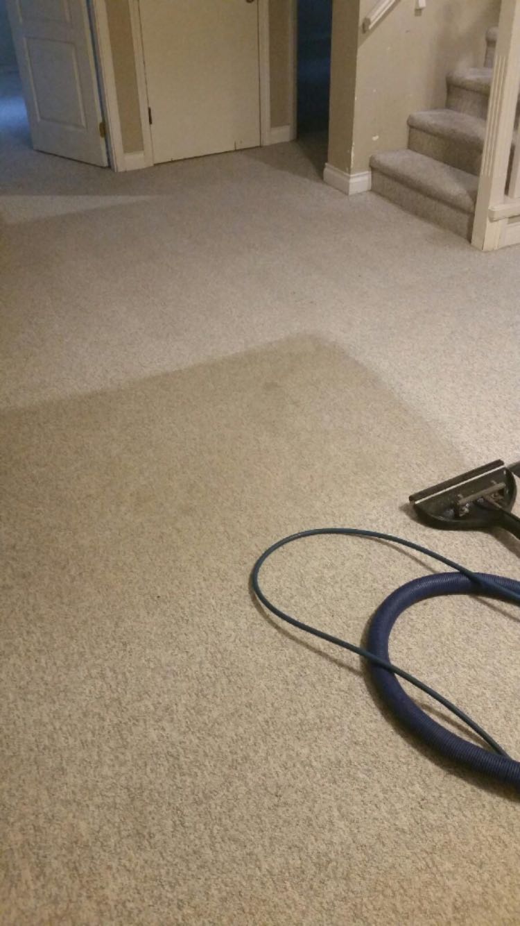 Lower Mainland Carpet Cleaning | 31483 Legacy Ct, Abbotsford, BC V2T 6W5, Canada | Phone: (604) 857-2727