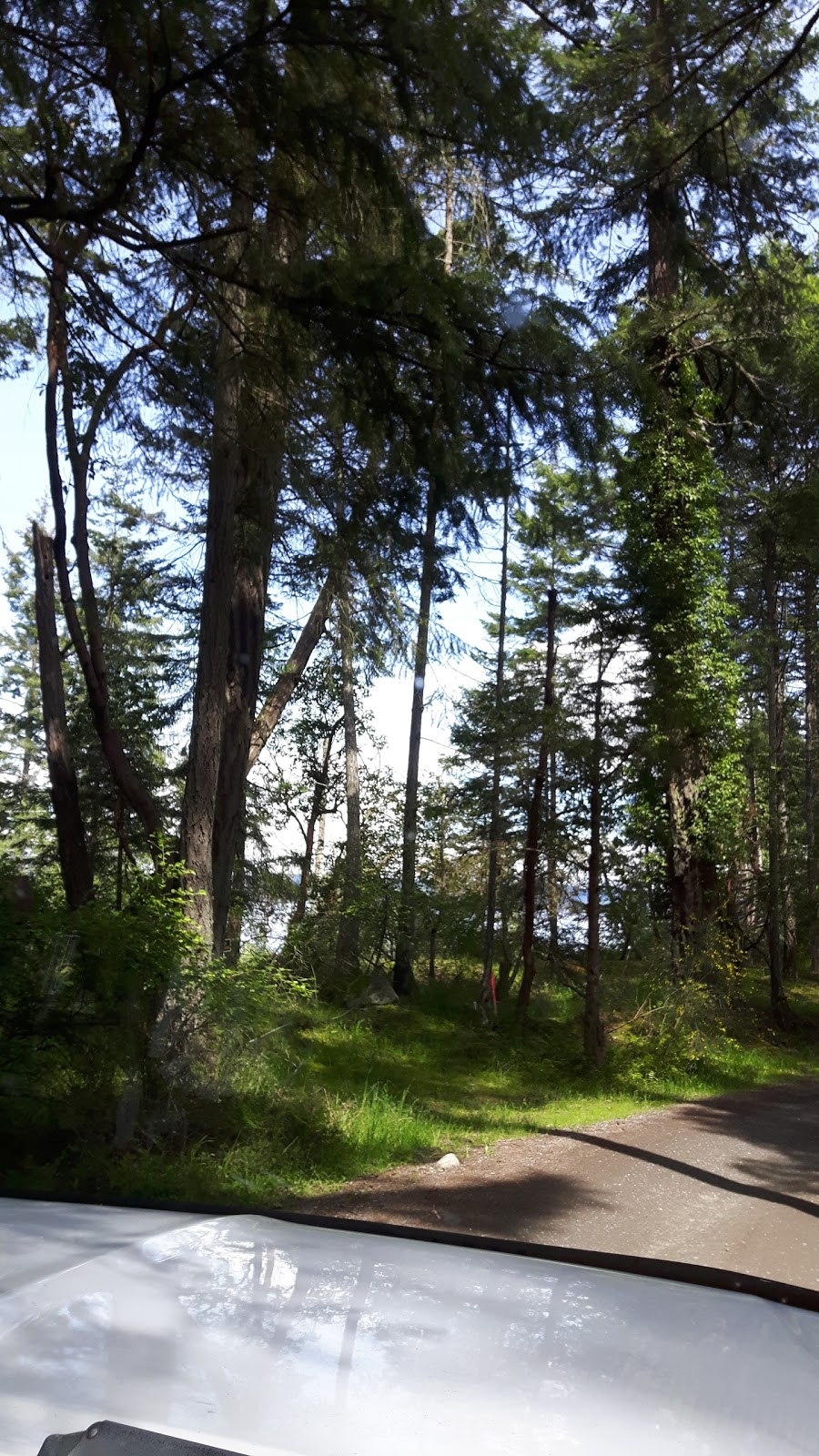 Two Coves Resort | 3415 Yellowpoint Rd on, Laguna Vista Rd, Ladysmith, BC V9G 1E6, Canada | Phone: (250) 245-4014