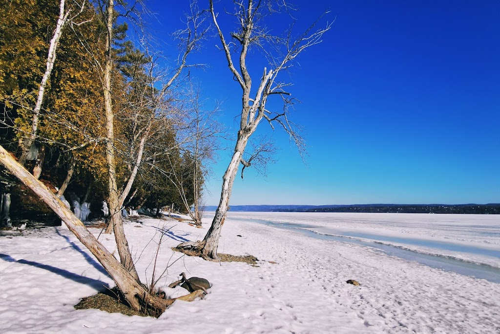 Ottawa River Canoe Club | 1610 Sixth Line Rd, Dunrobin, ON K0A 1T0, Canada | Phone: (613) 850-2628