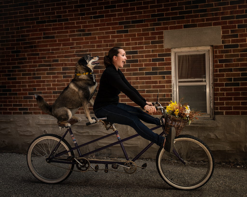 Laura Wombwell Photography | 53 Chesterton Ln, Guelph, ON N1E 6S8, Canada | Phone: (519) 766-7233
