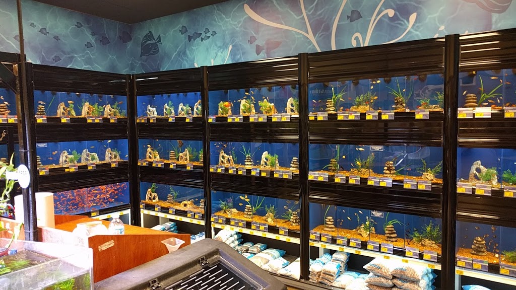 PetSmart | 320 Taunton Rd. East - Unit E1b, Whitby, ON L1R 0H4, Canada | Phone: (905) 655-1276