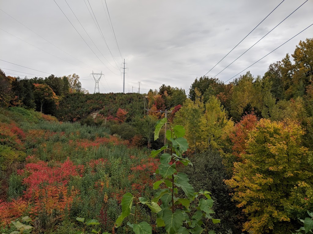 Parc de Marseille | Rue de Marseille, Trois-Rivières, QC G8Y 4C1, Canada