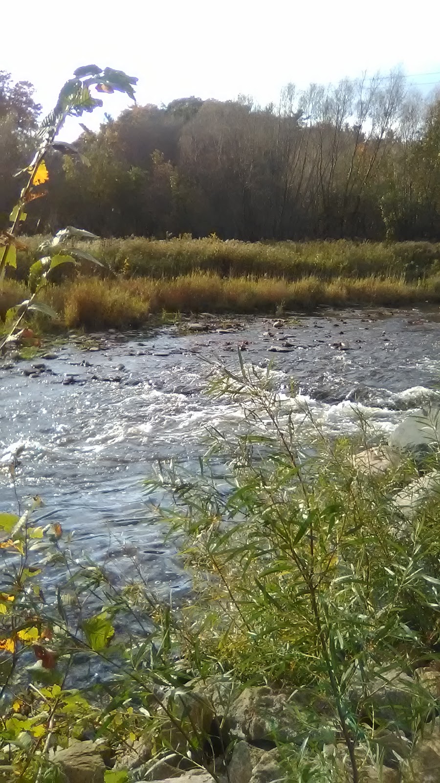 Bronte Creek Lands | West Oakville, Oakville, ON L6L, Canada