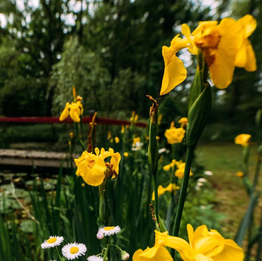Wildflower Yoga & Wellness | 5177 Nigh Rd, Ridgeway, ON L0S 1N0, Canada | Phone: (289) 456-6714