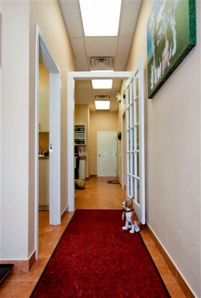 The Collegeway Animal Hospital | 2686 The Collegeway #101, Mississauga, ON L5L 2M9, Canada | Phone: (905) 828-8808