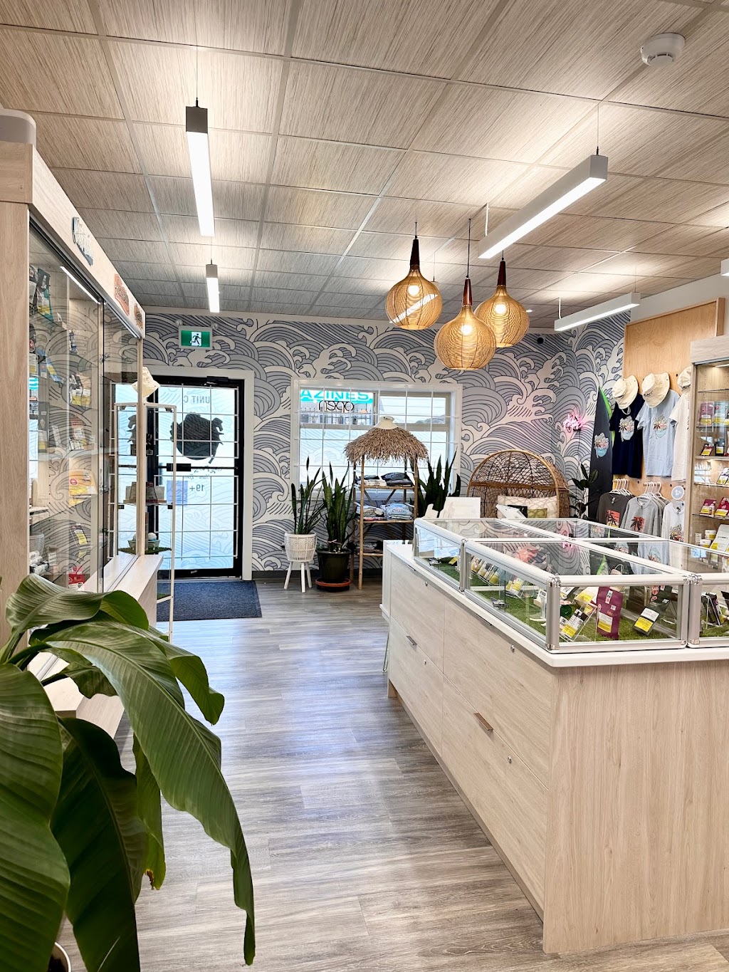 Pacific Sea Weed Cannabis Co. | Glenmore Rd #2207-C, Campbell River, BC V9H 1E1, Canada | Phone: (778) 420-0420