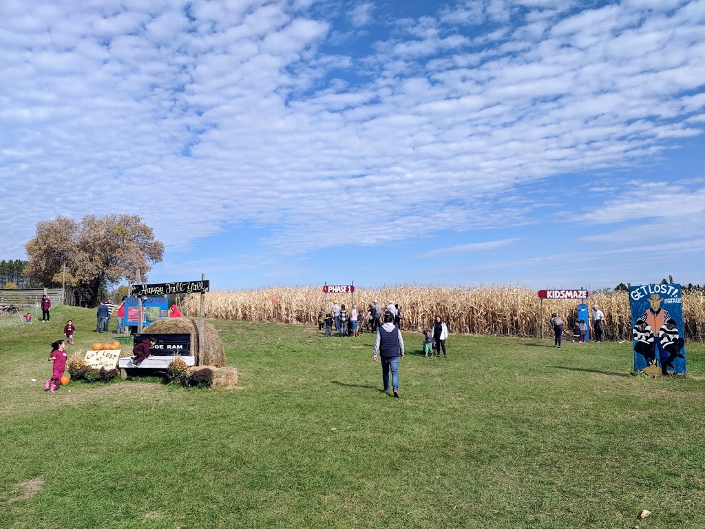 Coopers CSA Farm & Maze | 266 Ashworth Rd, Zephyr, ON L0E 1T0, Canada | Phone: (905) 830-4521