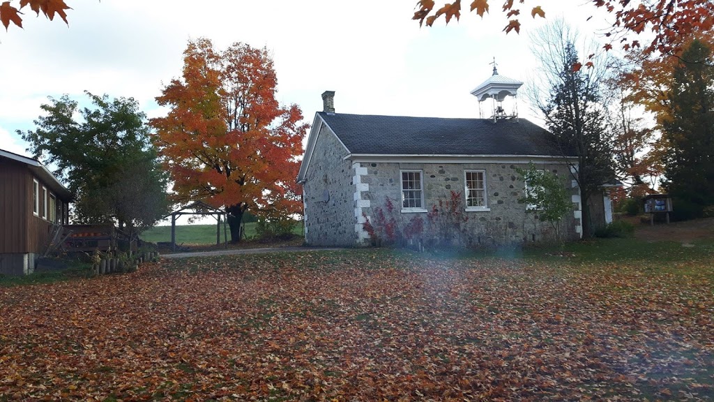 Edge Hill Country School | Durham, ON N0G 1R0, Canada | Phone: (519) 369-3195