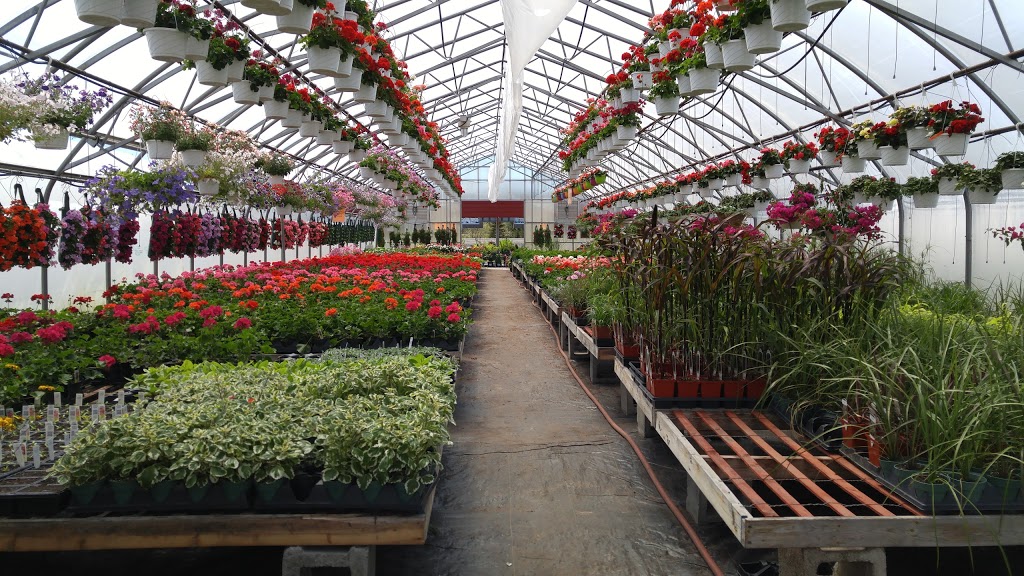 Johns Flower Shop & Garden Centre | 13 Finn Rd, McKerrow, ON P0P 1M0, Canada | Phone: (705) 869-2649