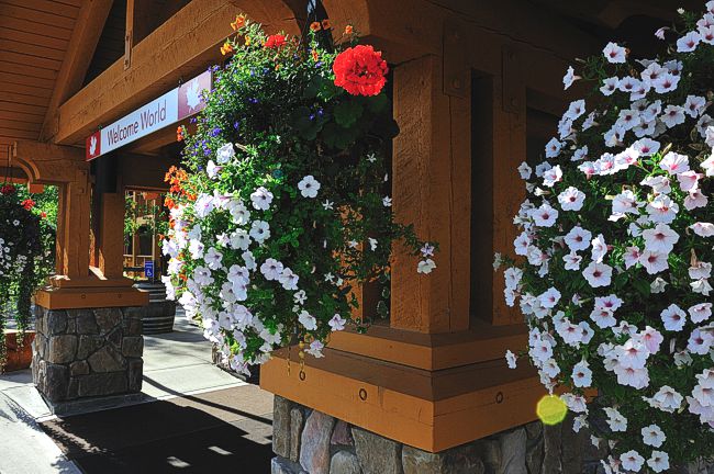 Pemberton Valley Lodge | 1490 Sea-to-Sky Hwy, Pemberton, BC V0N 2L1, Canada | Phone: (604) 894-2000