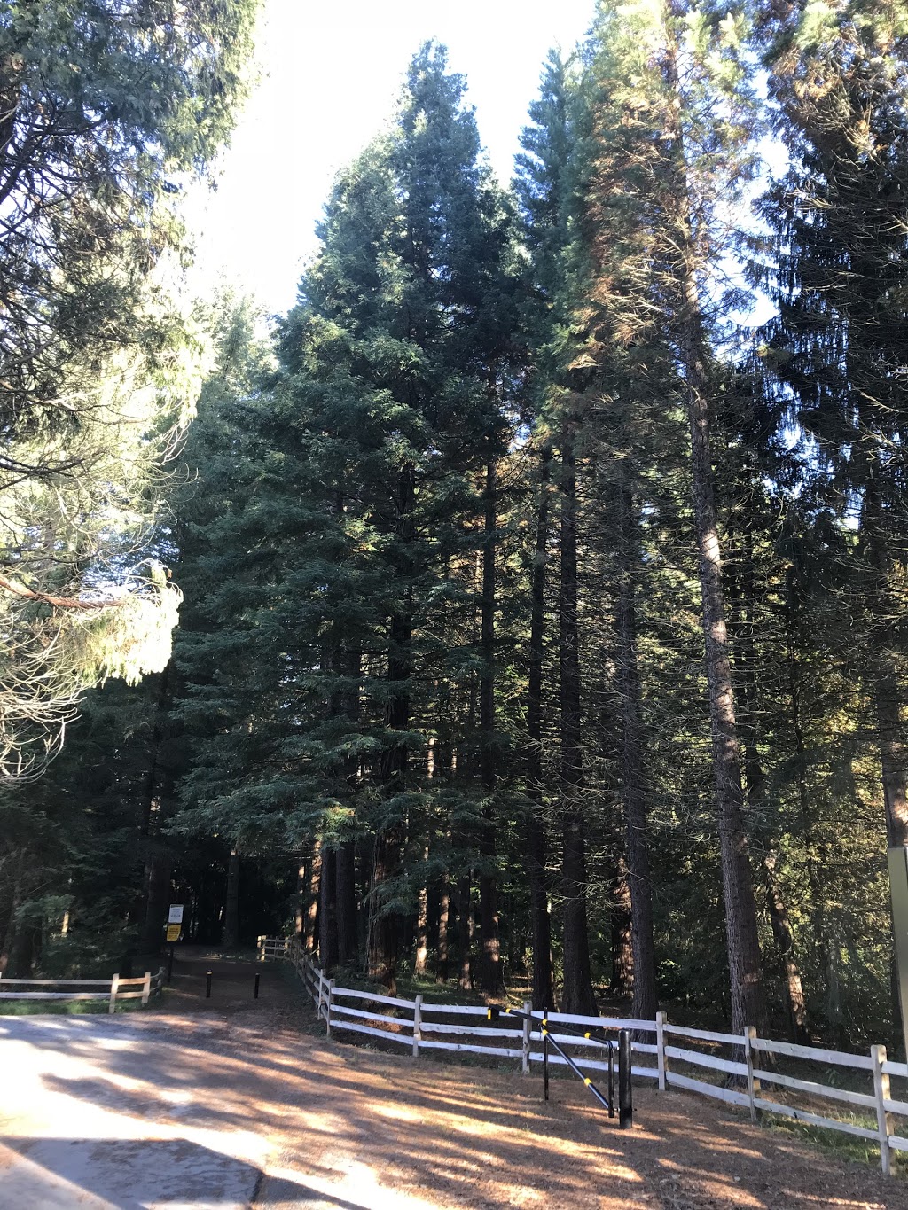 Godwin Farm Biodiversity Preserve | 9016 164 St, Surrey, BC V4N 2Z8, Canada | Phone: (604) 501-5050