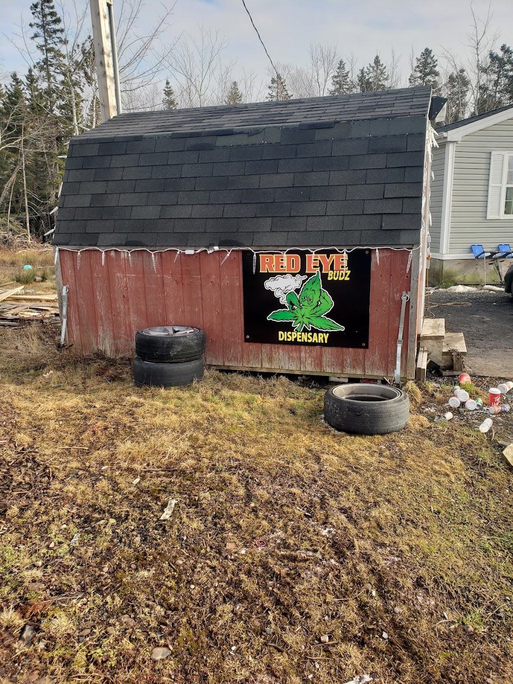 Red eye budz | 95 saqamaw rd, Afton Loop, Afton Station, NS B0H 1A0, Canada | Phone: (902) 318-9508