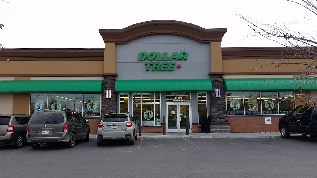 Dollar Tree | 200 Southridge Dr, Okotoks, AB T1S 0B2, Canada | Phone: (403) 995-6273