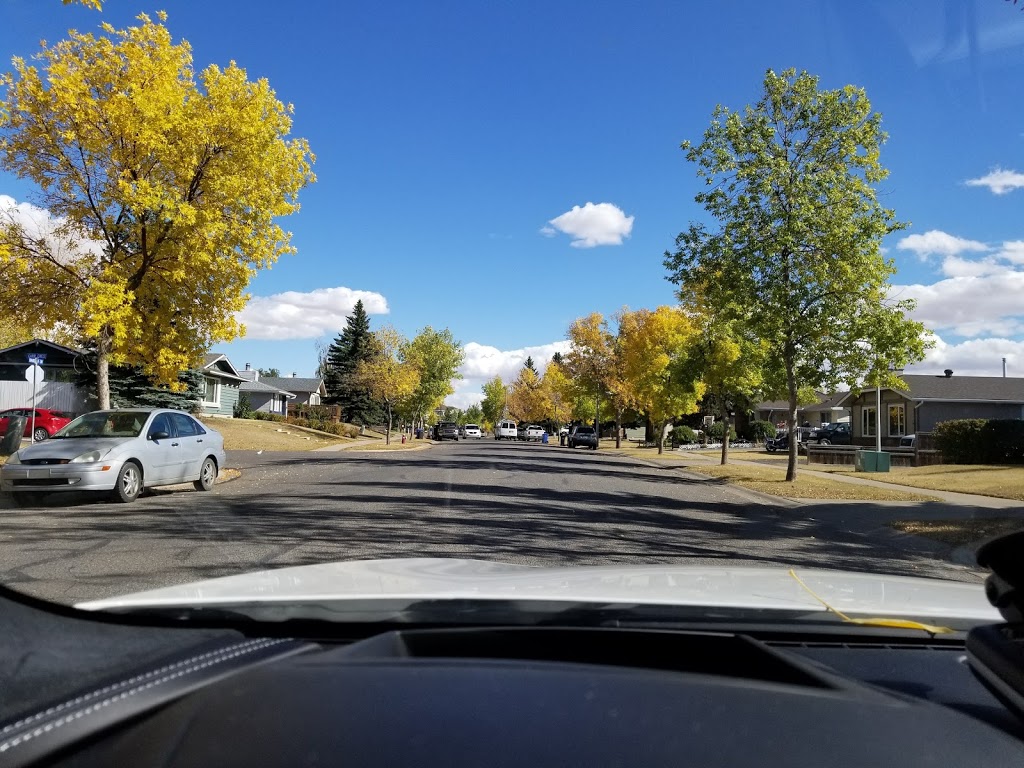 Crystal Shores Park | 215 Crystal Shores Dr, Okotoks, AB T1S 2L1, Canada