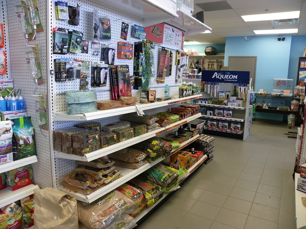 Doogans Pet Centre | 400 Bayfield St, Barrie, ON L4M 5A1, Canada | Phone: (705) 727-0182