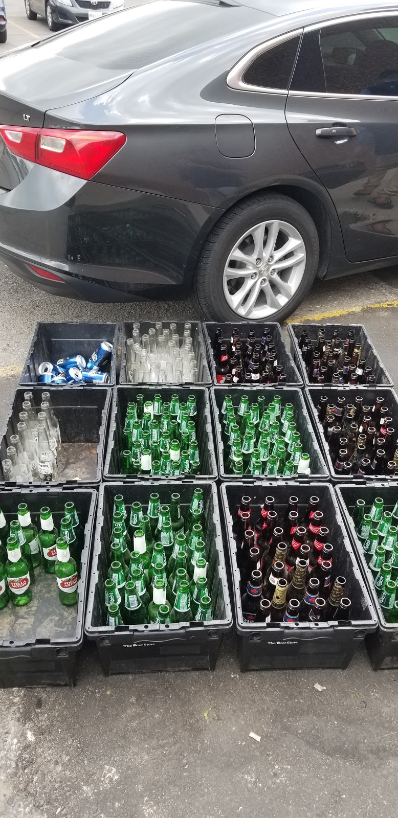 The Beer Store | 1080 Adelaide St N, London, ON N5Y 2N1, Canada | Phone: (519) 432-5405