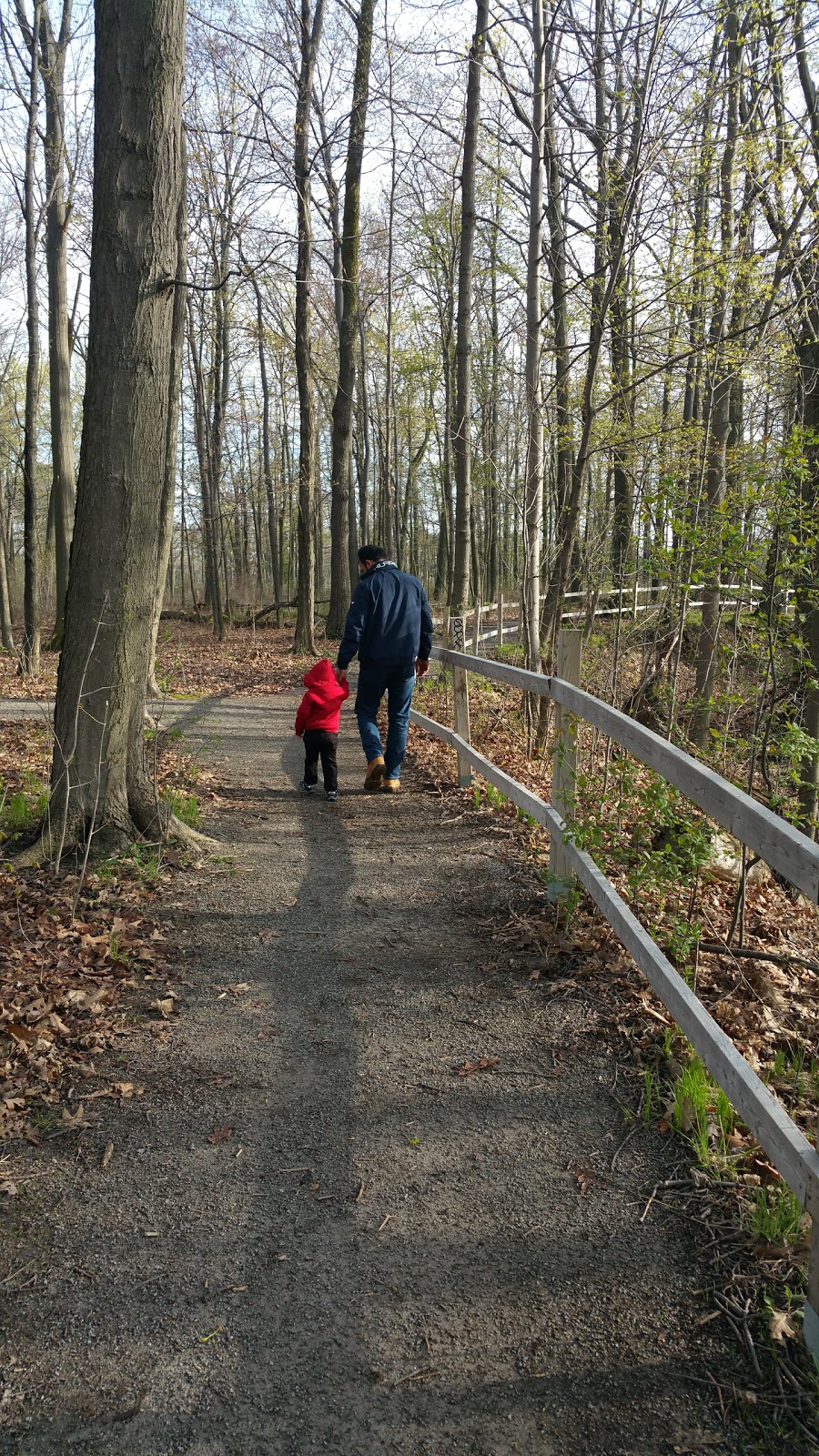 Upper Whirlpool Trails, Niagara River Whirlpool, Canada | 4013, 4009 Niagara Pkwy, Niagara Falls, ON L2E 3E8, Canada | Phone: (877) 642-7275