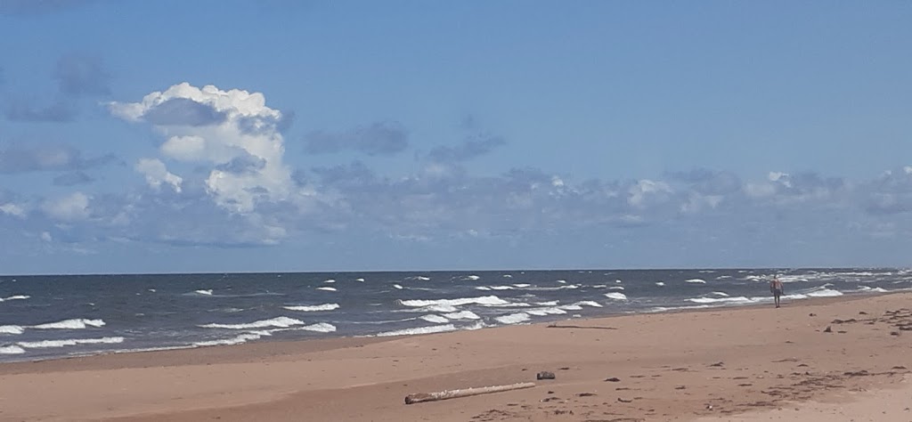 Shaws Beach, Prince Edward Island National Park | 2300 Gulf Shore Pkwy E, York, PE C0A 1P0, Canada | Phone: (902) 672-6350