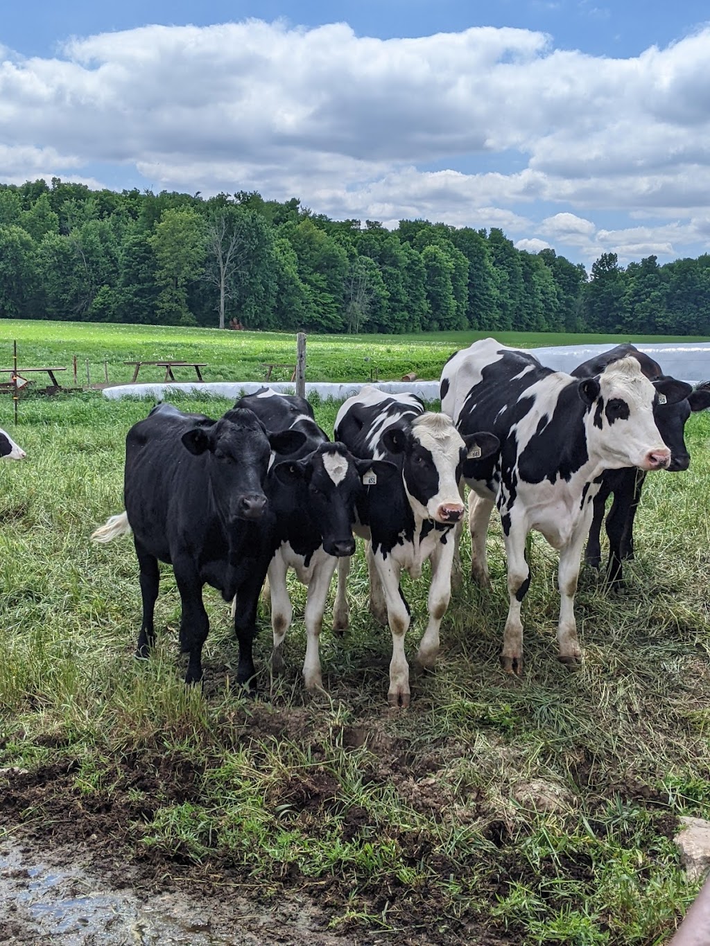 Proof Line Farm | 14247 Ilderton Rd, Ilderton, ON N0M 2A0, Canada | Phone: (519) 666-1838