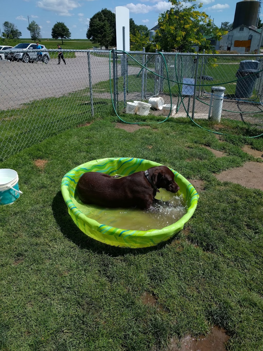 Masters N Hounds | 2517 Fischer-Hallman Rd, Ayr, ON N0B 1E0, Canada | Phone: (519) 696-3647