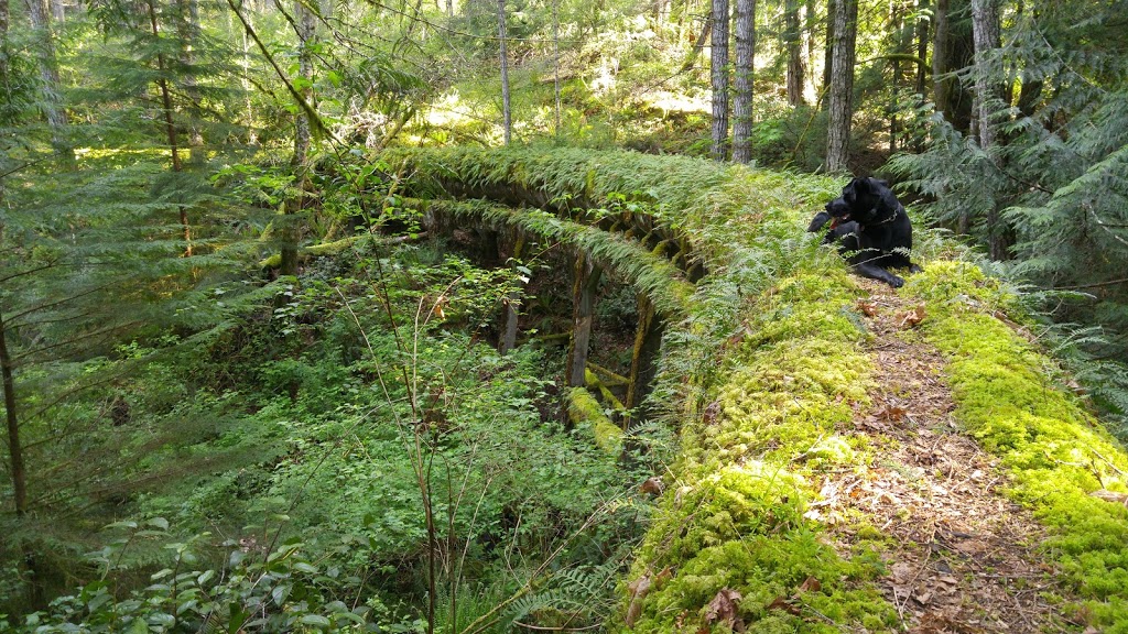 Old Water Pipe Acess | 1850 Impala Rd, Victoria, BC V9C 4C1, Canada