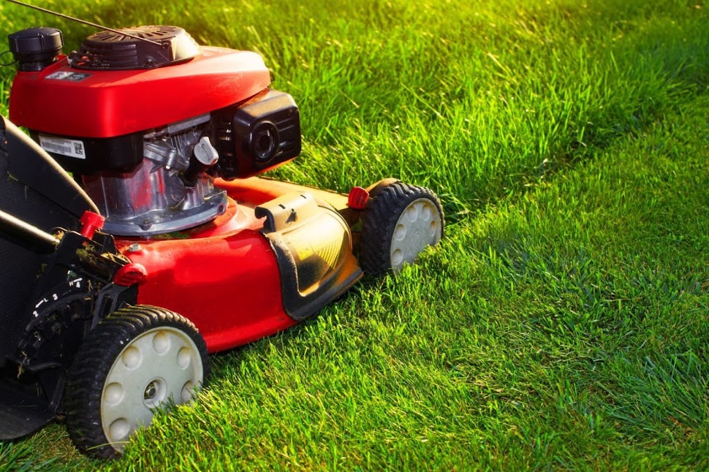 VIP Lawn Service | 7 Tower St, Dieppe, NB E1A 2G6, Canada | Phone: (506) 740-7537