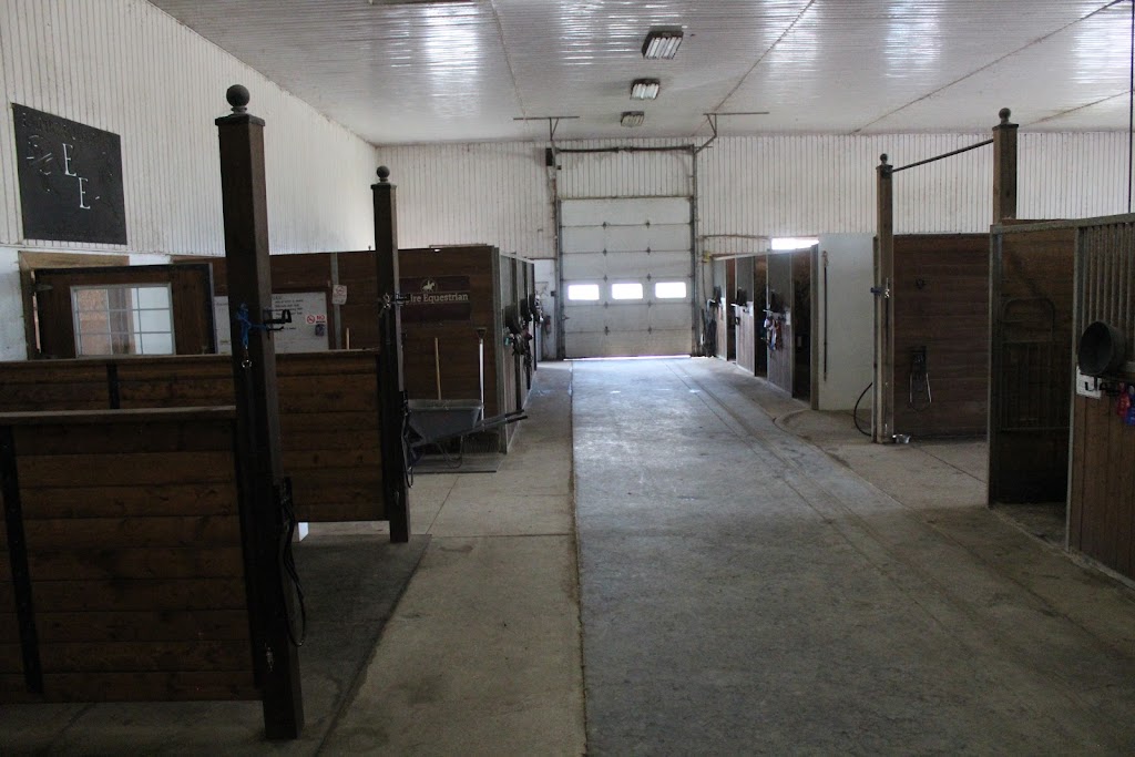 Empire Equestrian | 1267 Haldimand County Hwy 56, York, ON N0A 1R0, Canada | Phone: (905) 973-7611
