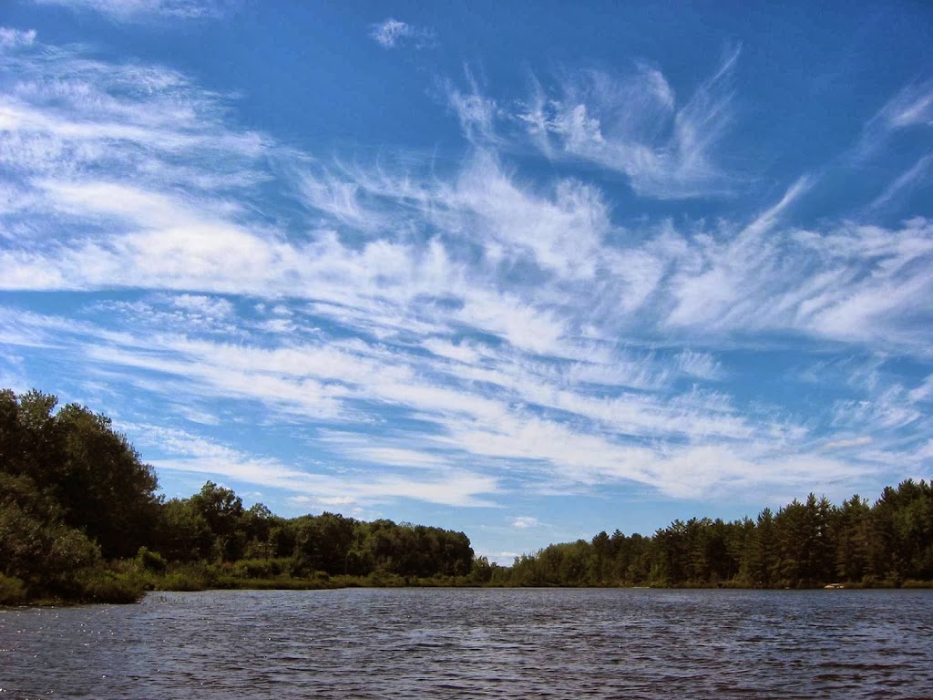 Bushs Watersports Park | 3385 Muskoka District Road 169, Bala, ON P0C 1A0, Canada | Phone: (705) 762-5722