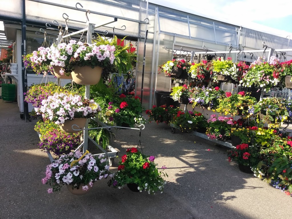 Sheridan Nurseries Limited | 100 Elmsdale Dr, Kitchener, ON N2E 1H6, Canada | Phone: (519) 743-4146