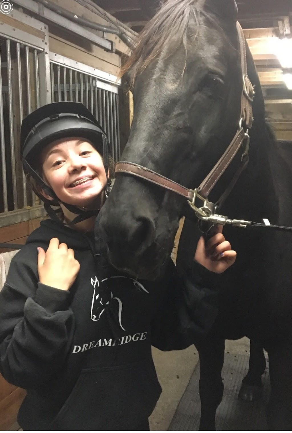 DreamRidge Equestrian | 95 Townline Road East, Port Perry, ON L9L 1B3, Canada | Phone: (416) 716-9464