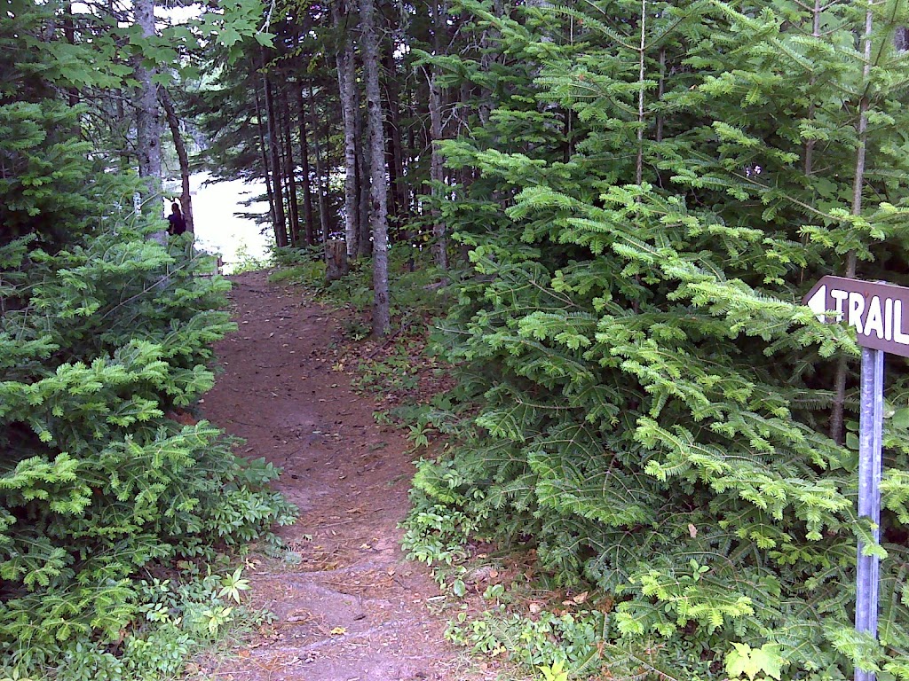 Southeast Environmental Association | AccessPEI Bldg, 41 Wood Islands Rd, Montague, PE C0A 1R0, Canada | Phone: (902) 838-3351