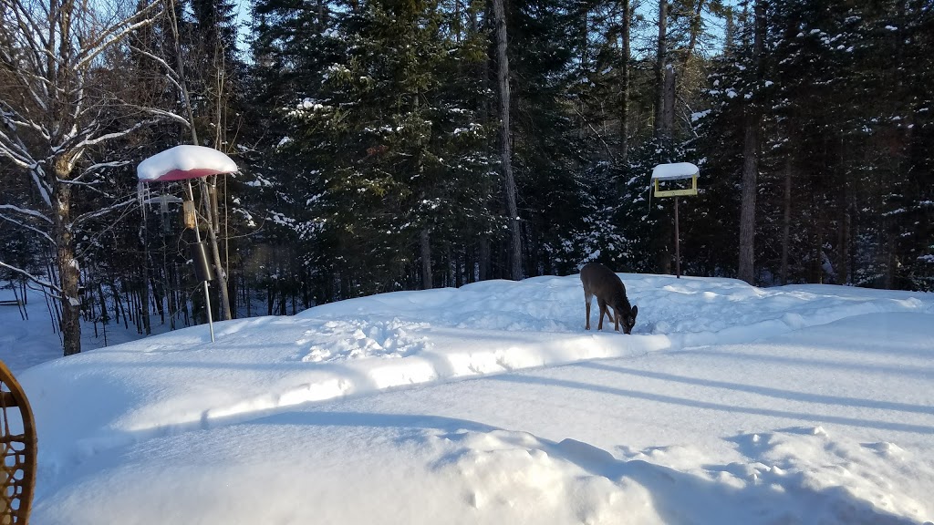 La Petite Douceur | 38 Côte de lEau Vive, Lac-Supérieur, QC J0T 1J0, Canada | Phone: (819) 688-3314