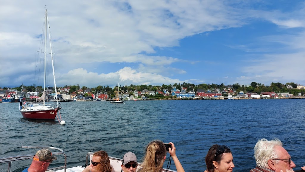 Lunenburg Whale Watching Tours | 62 Bluenose Dr, Lunenburg, NS B0J 2C0, Canada | Phone: (902) 527-7175