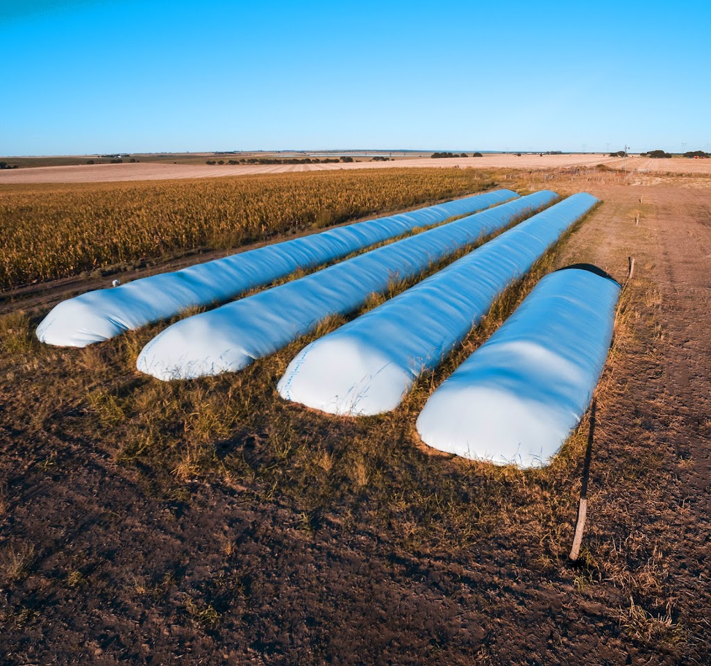 Amity Ag-Enterprises Inc - Range Road 252, Clyde, AB T0G 0P0, Canada